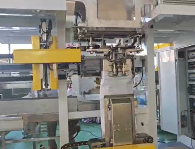 High Speed VFFS zoutverpakkingsmachine voor zakjes van 50 g tot 2 kg
